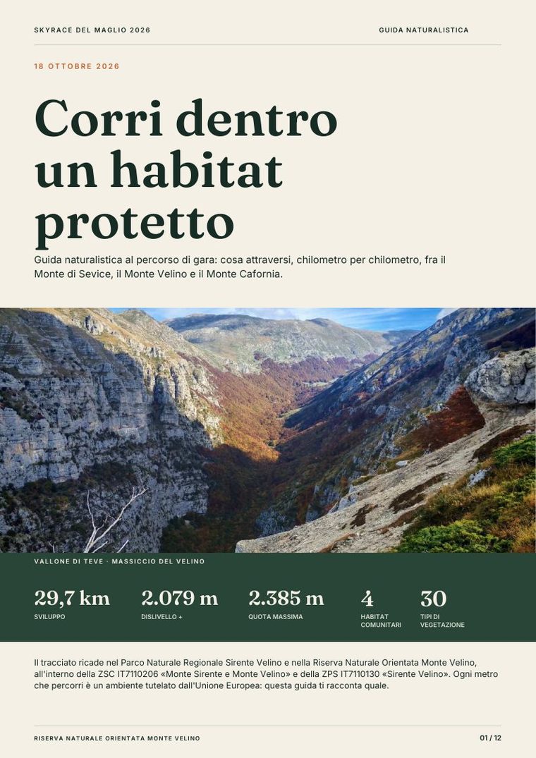 Copertina della guida naturalistica della Skyrace del Maglio 2026